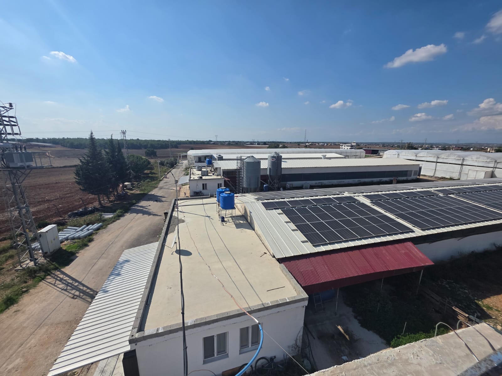 Mirtav Tavukçuluk