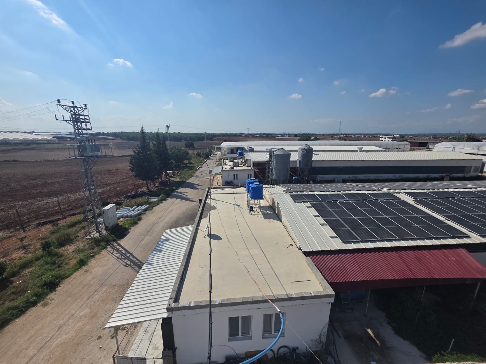 Mirtav Tavukçuluk